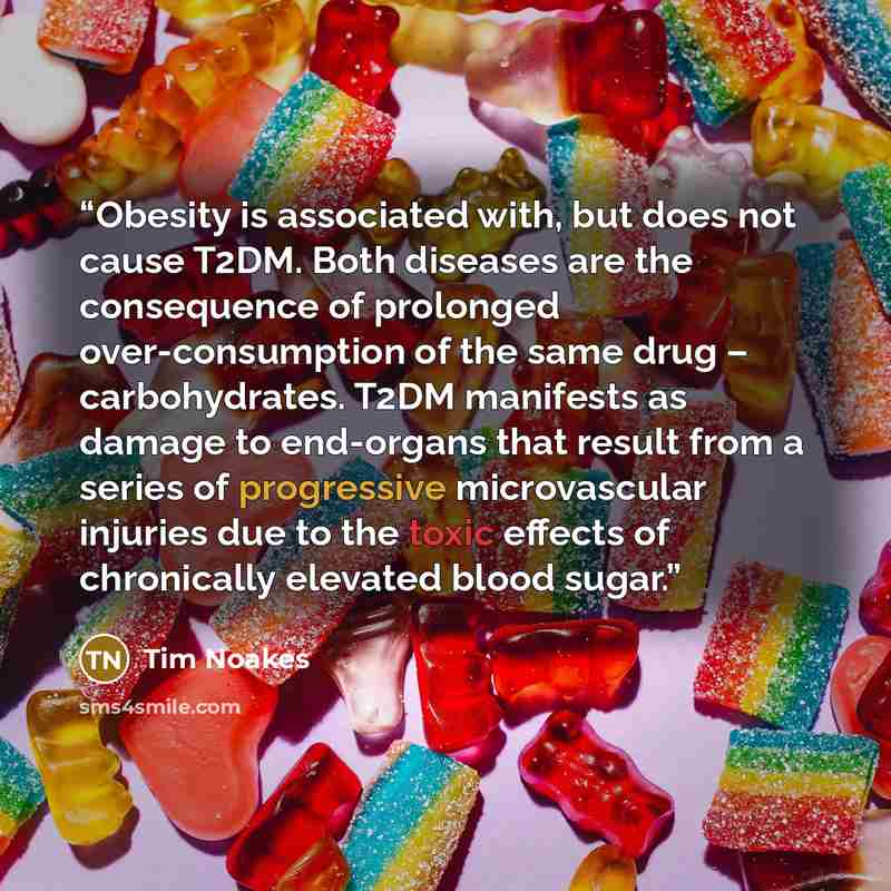 “Obesity is associated with, but does not cause T2DM. Both diseases are the consequence of prolonged over-consumption of the same drug – carbohydrates. T2DM manifests as damage to end-organs that result from a series of progressive microvascular injuries due to the toxic effects of chronically…” quote by Tim Noakes
