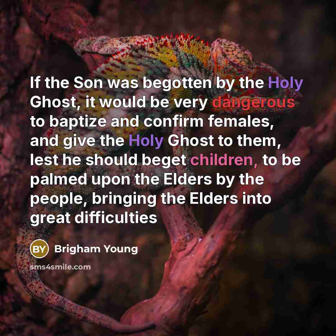 “If the Son was begotten by the Holy Ghost, it would be very dangerous to baptize and confirm females, and give the Holy Ghost to them, lest he should beget children, to be palmed upon the Elders by the people, bringing the Elders into great difficulties” quote by Brigham Young