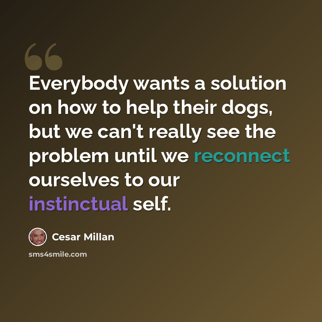 “Everybody wants a solution on how to help their dogs, but we can't really see the problem until we reconnect ourselves to our instinctual self.” quote by Cesar Millan