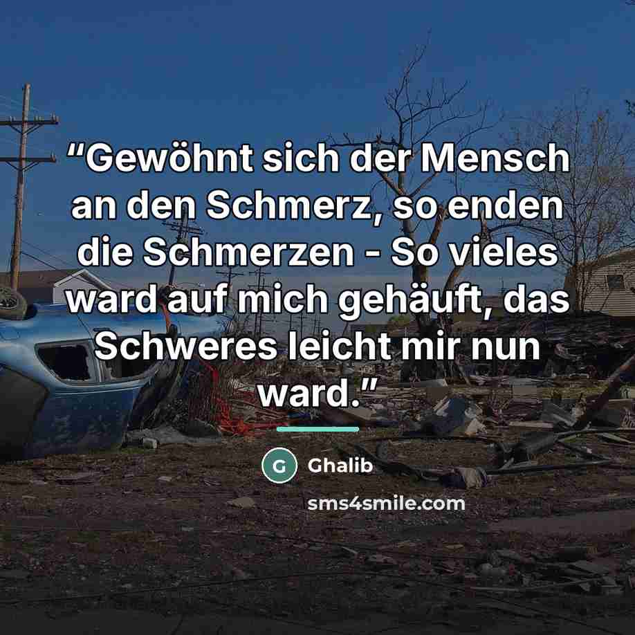 “Gewöhnt sich der Mensch an den Schmerz, so enden die Schmerzen - So vieles ward auf mich gehäuft, das Schweres leicht mir nun ward.” quote by Anonymous