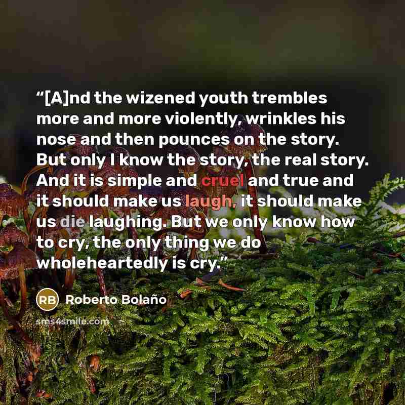“[A]nd the wizened youth trembles more and more violently, wrinkles his nose and then pounces on the story. But only I know the story, the real story. And it is simple and cruel and true and it should make us laugh, it should make us die laughing. But we only know how to cry, the only thing we do…” quote by Roberto Bolaño
