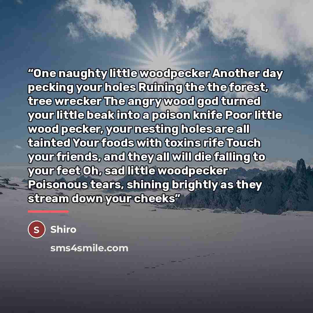 “One naughty little woodpecker Another day pecking your holes Ruining the the forest, tree wrecker The angry wood god turned your little beak into a poison knife Poor little wood pecker, your nesting holes are all tainted Your foods with toxins rife Touch your friends, and they all will die falling…” quote by Shiro