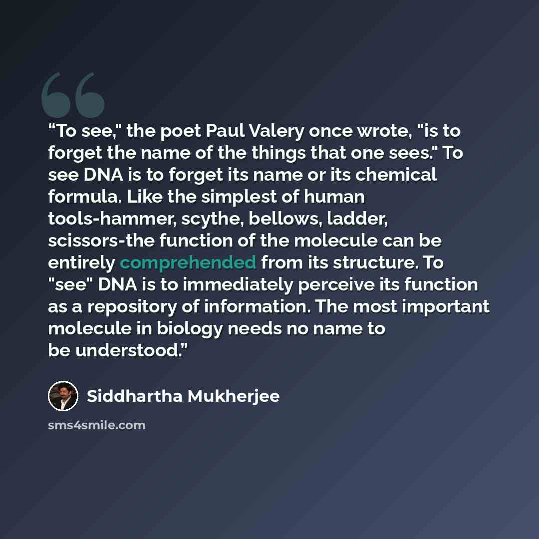 “To see," the poet Paul Valery once wrote, "is to forget the name of the things that one sees." To see DNA is to forget its name or its chemical formula. Like the simplest of human tools-hammer, scythe, bellows, ladder, scissors-the function of the molecule can be entirely comprehended from its…” quote by Siddhartha Mukherjee
