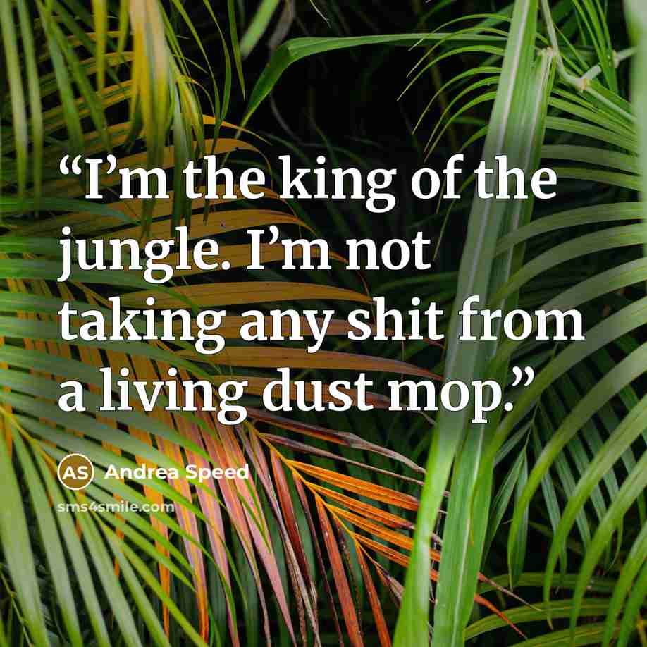“I’m the king of the jungle. I’m not taking any shit from a living dust mop.” quote by Andrea Speed