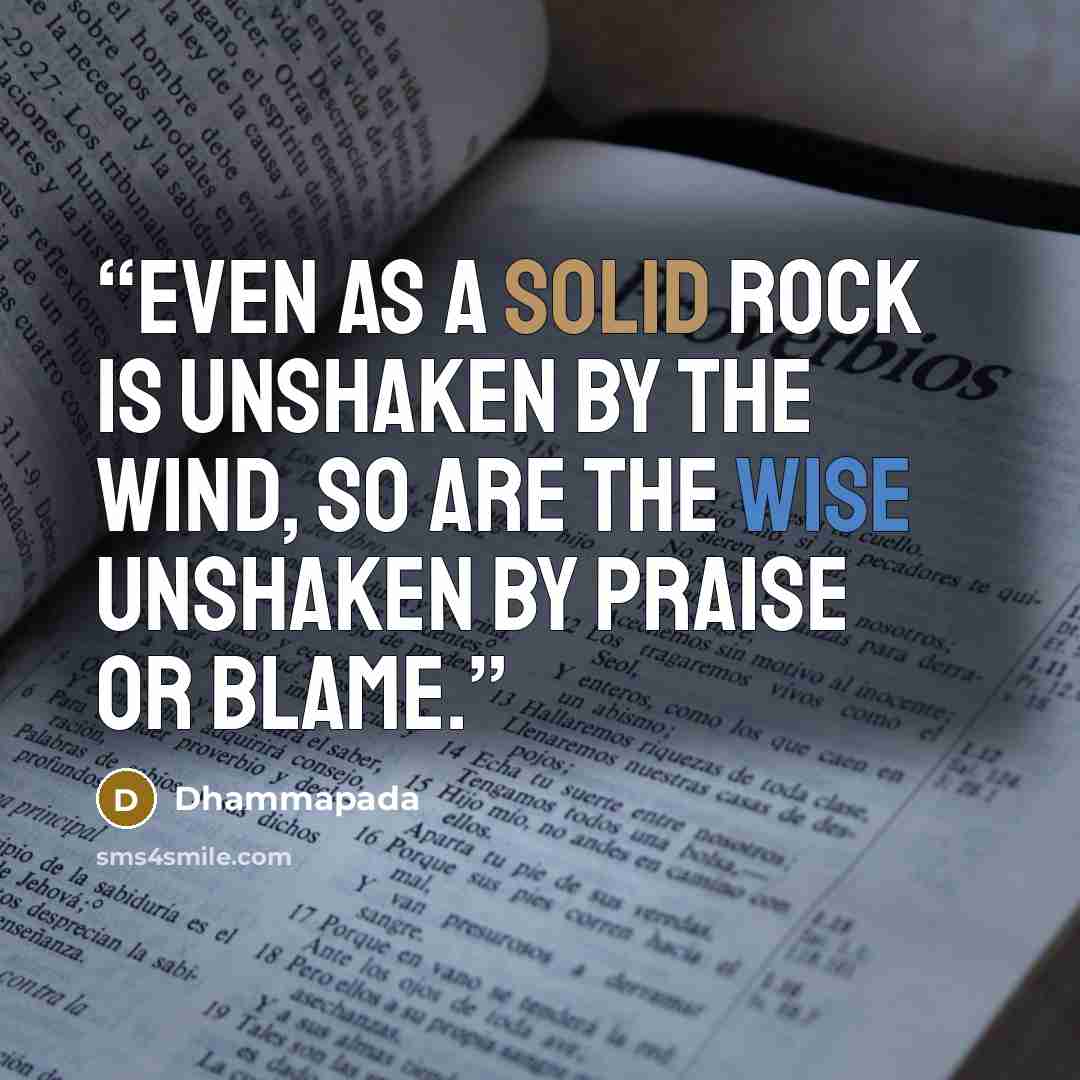 “Even as a solid rock is unshaken by the wind, so are the wise unshaken by praise or blame.” quote by Dhammapada
