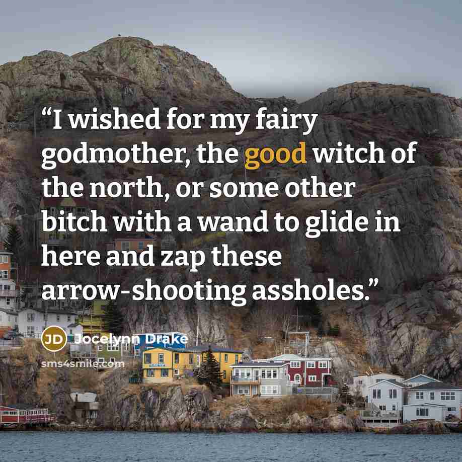 “I wished for my fairy godmother, the good witch of the north, or some other bitch with a wand to glide in here and zap these arrow-shooting assholes.” quote by Jocelynn Drake