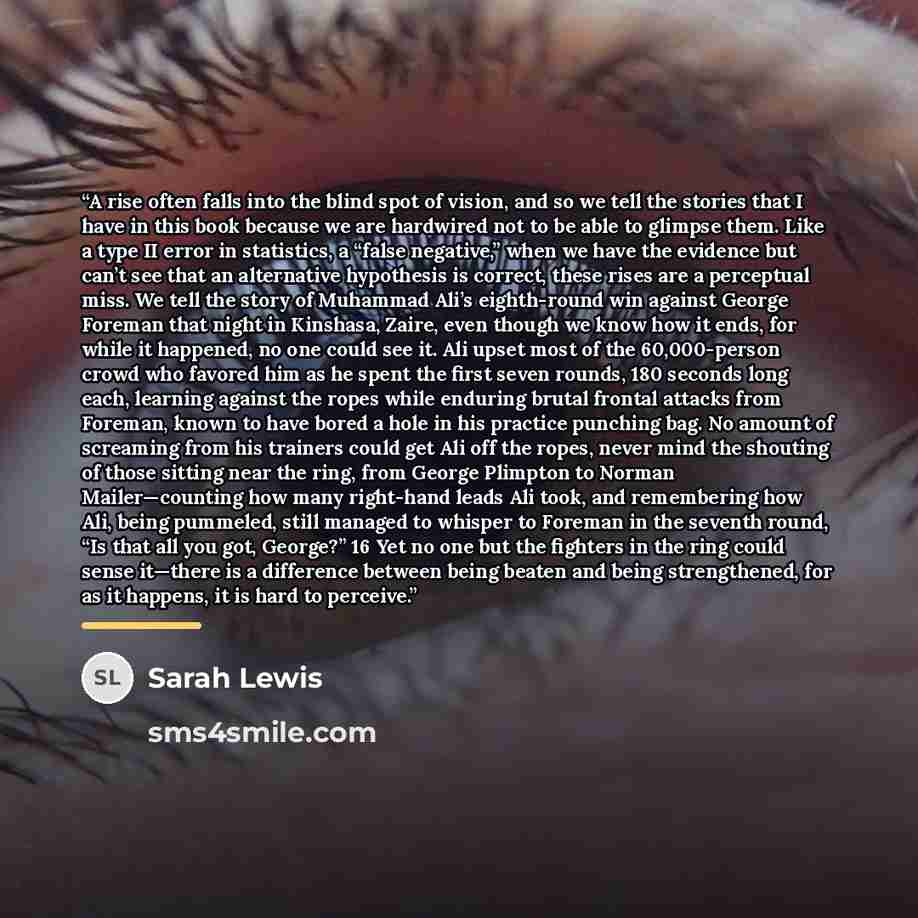 “A rise often falls into the blind spot of vision, and so we tell the stories that I have in this book because we are hardwired not to be able to glimpse them. Like a type II error in statistics, a “false negative,” when we have the evidence but can’t see that an alternative hypothesis is correct…” quote by Sarah Lewis