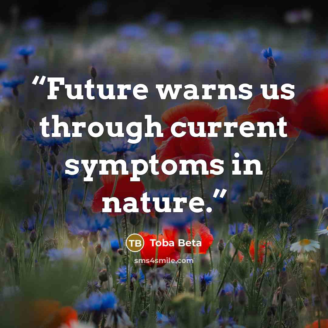 “Future warns us through current symptoms in nature.” quote by Toba Beta