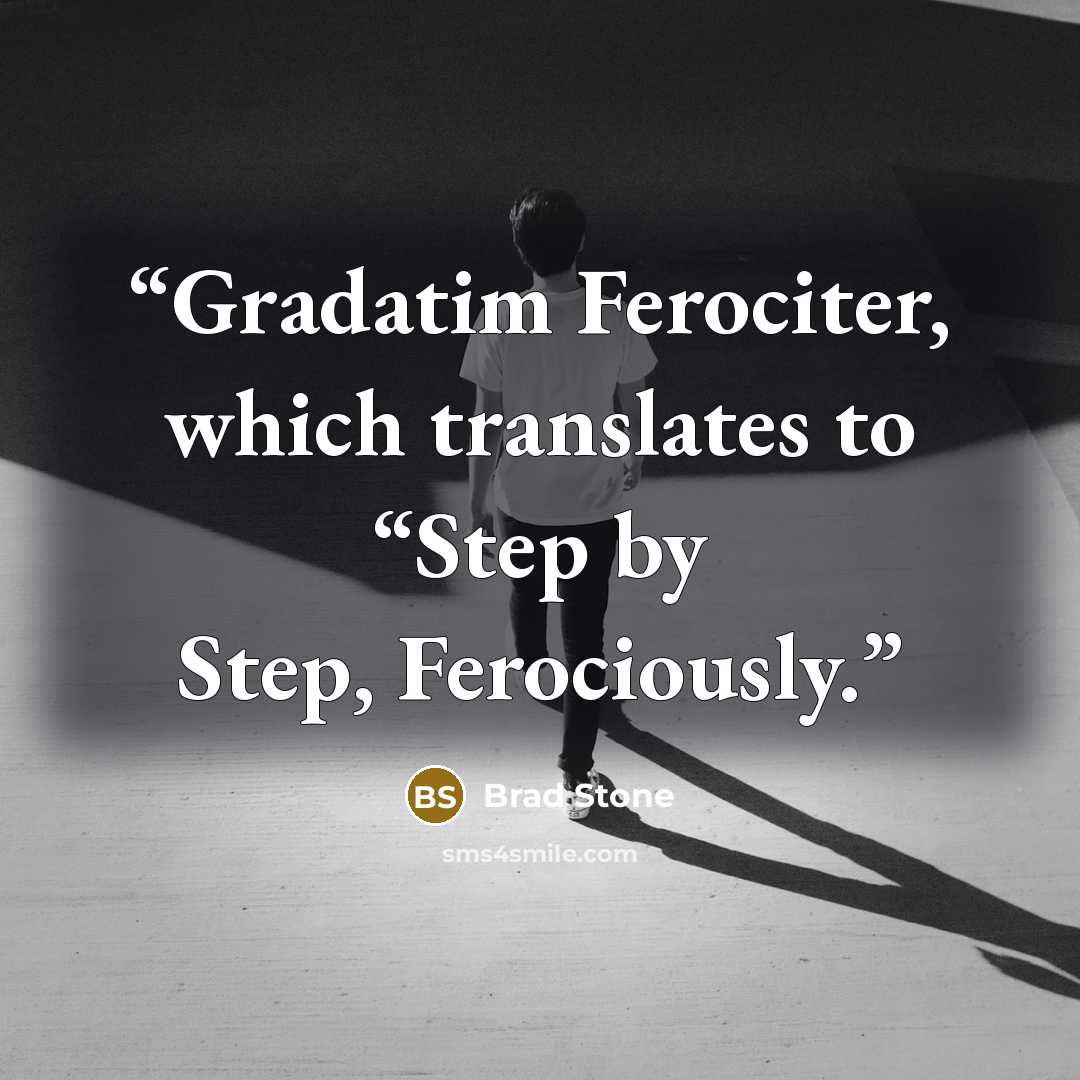 “Gradatim Ferociter, which translates to “Step by Step, Ferociously.” quote by Brad Stone