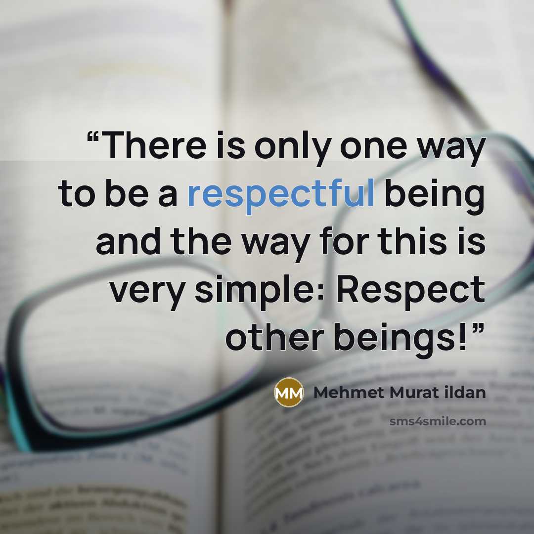 “There is only one way to be a respectful being and the way for this is very simple: Respect other beings!” quote by Mehmet Murat ildan