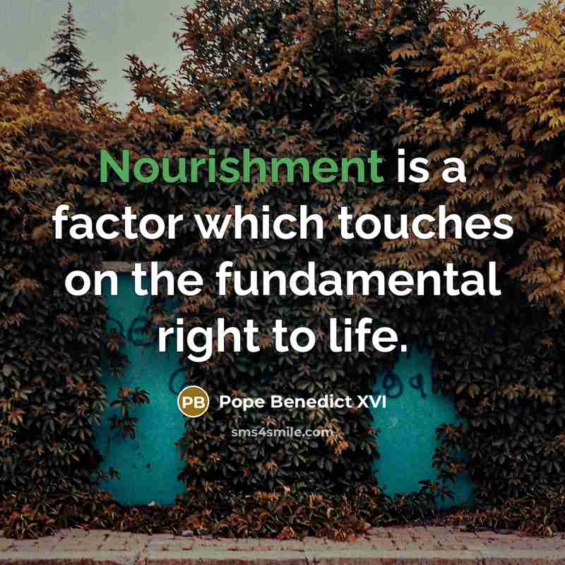 “Nourishment is a factor which touches on the fundamental right to life.” quote by Pope Benedict XVI