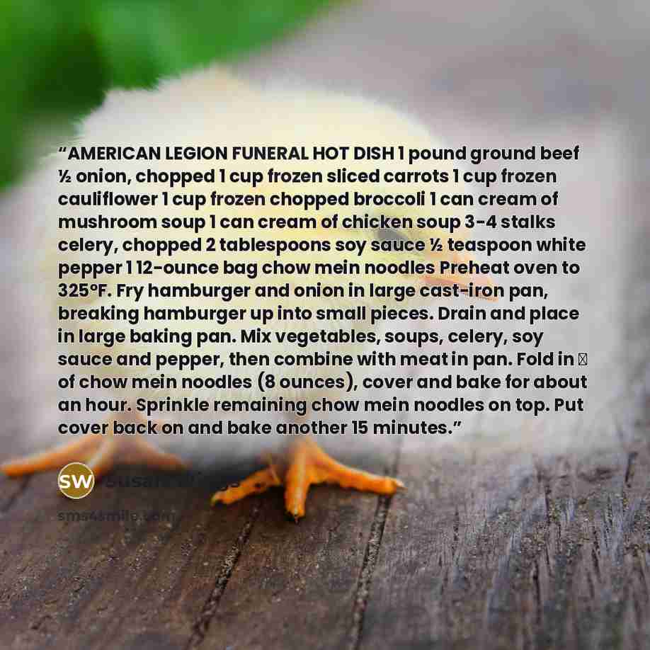 “AMERICAN LEGION FUNERAL HOT DISH 1 pound ground beef ½ onion, chopped 1 cup frozen sliced carrots 1 cup frozen cauliflower 1 cup frozen chopped broccoli 1 can cream of mushroom soup 1 can cream of chicken soup 3-4 stalks celery, chopped 2 tablespoons soy sauce ½ teaspoon white pepper 1 12-ounce…” quote by Susan Wiggs