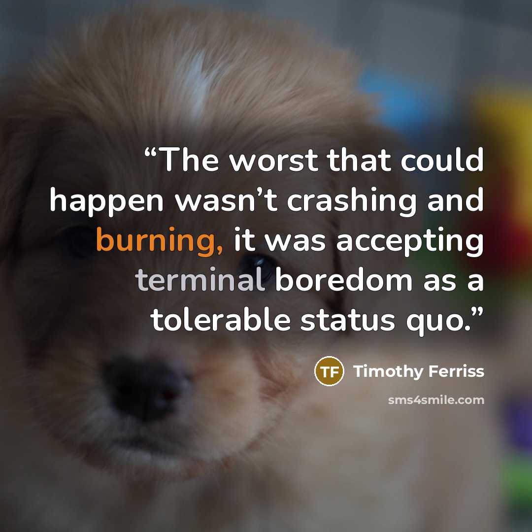 “The worst that could happen wasn’t crashing and burning, it was accepting terminal boredom as a tolerable status quo.” quote by Timothy Ferriss