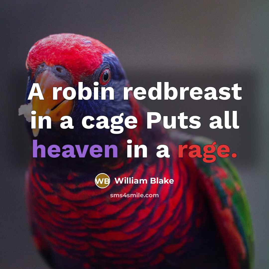 “A robin redbreast in a cage Puts all heaven in a rage.” quote by William Blake
