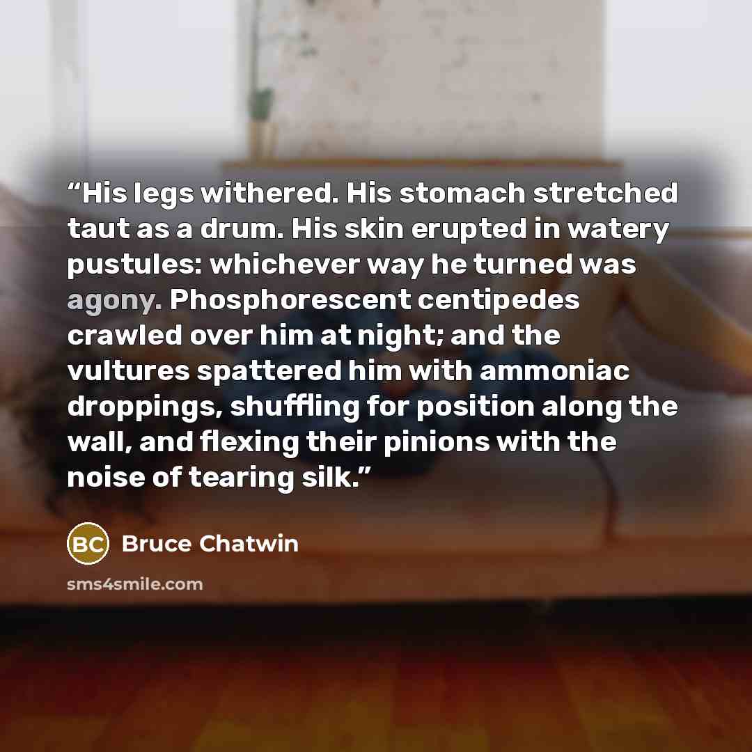 “His legs withered. His stomach stretched taut as a drum. His skin erupted in watery pustules: whichever way he turned was agony. Phosphorescent centipedes crawled over him at night; and the vultures spattered him with ammoniac droppings, shuffling for position along the wall, and flexing their…” quote by Bruce Chatwin