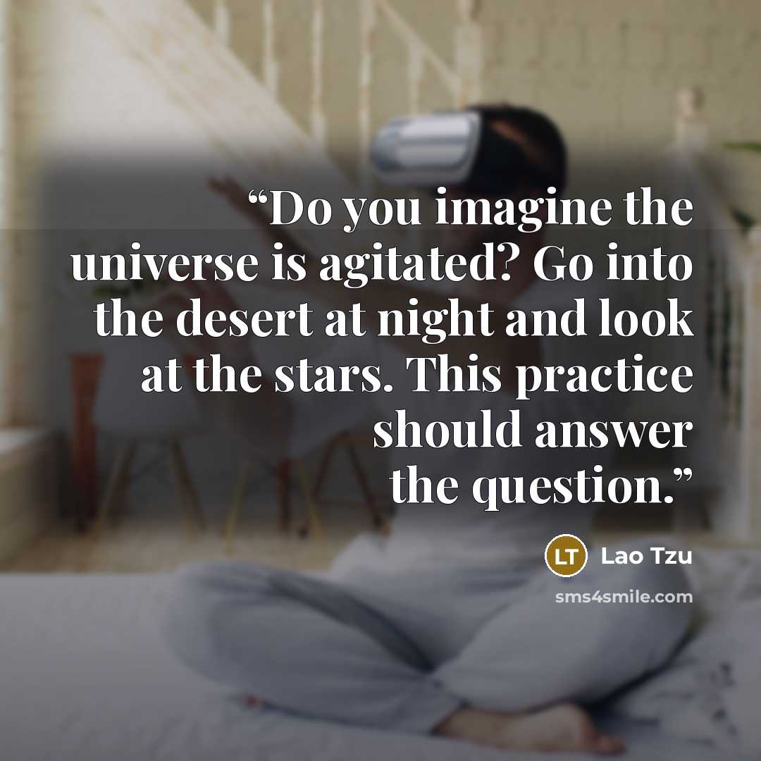 “Do you imagine the universe is agitated? Go into the desert at night and look at the stars. This practice should answer the question.” quote by Lao Tzu