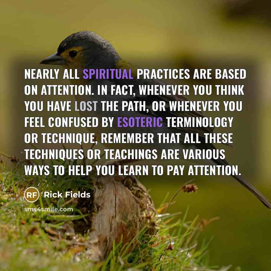 “Nearly all spiritual practices are based on attention. In fact, whenever you think you have lost the path, or whenever you feel confused by esoteric terminology or technique, remember that all these techniques or teachings are various ways to help you learn to pay attention.” quote by Rick Fields