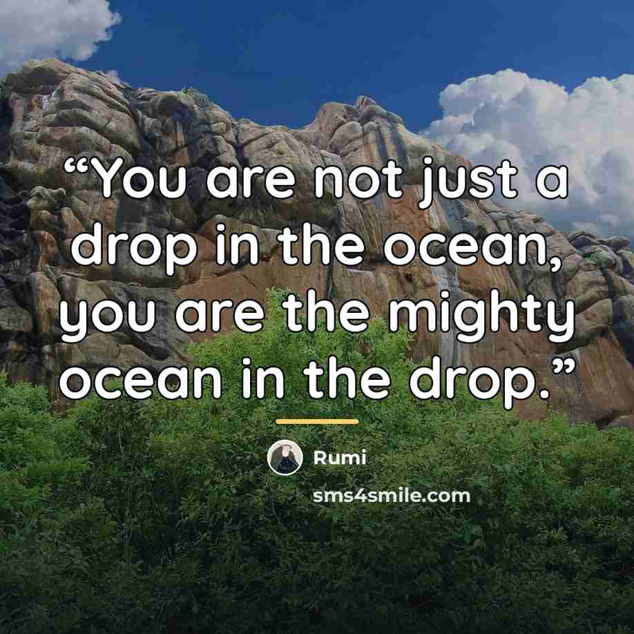 “You are not just a drop in the ocean, you are the mighty ocean in the drop.” quote by Rumi