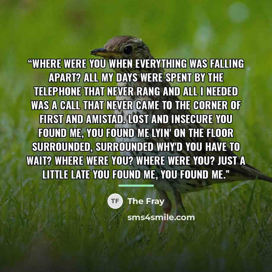 “Where were you When everything was falling apart? All my days Were spent by the telephone That never rang And all I needed was a call That never came To the corner of First and Amistad. Lost and insecure You found me, you found me Lyin' on the floor Surrounded, surrounded Why'd you have to wait?…” quote by The Fray