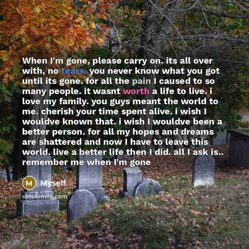 “When I'm gone, please carry on. its all over with, no tears. you never know what you got until its gone. for all the pain I caused to so many people. it wasnt worth a life to live. i love my family. you guys meant the world to me. cherish your time spent alive. i wish I wouldve known that. i wish…” quote by Myself