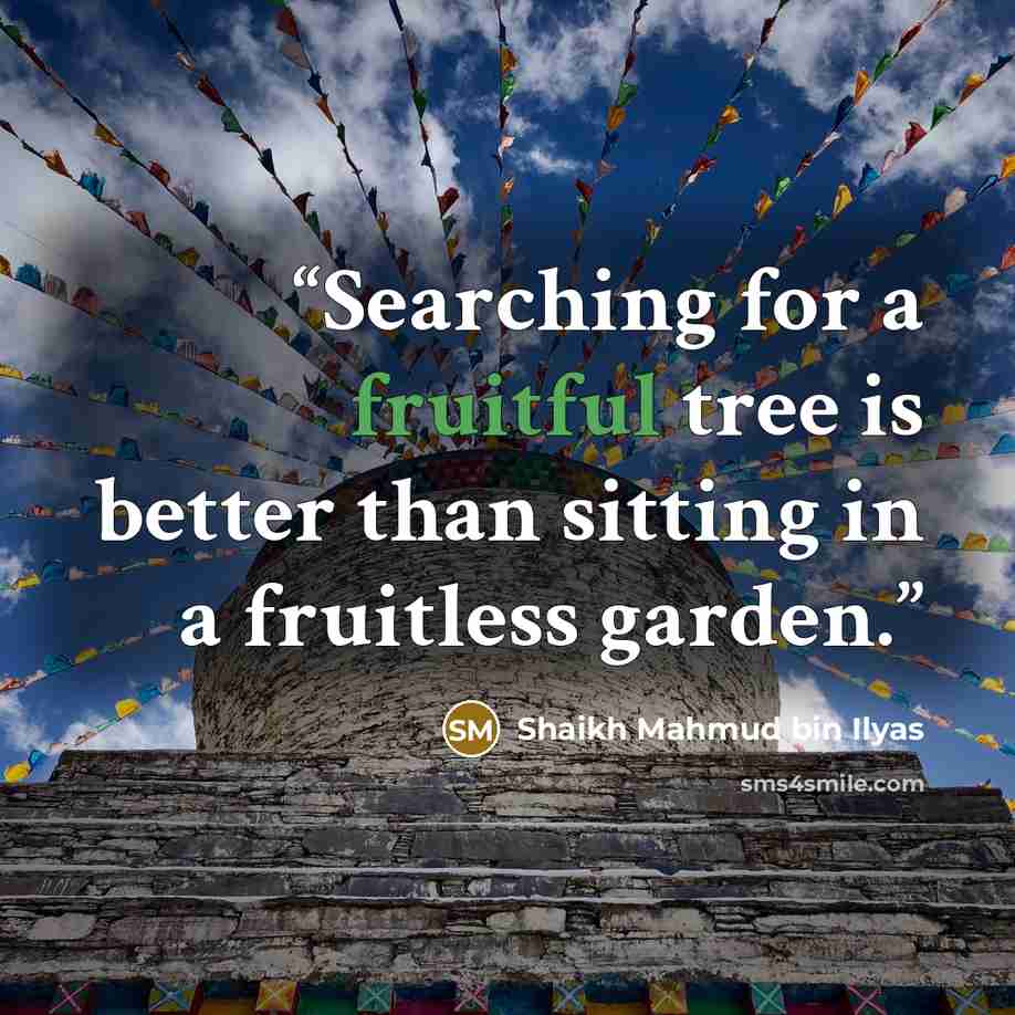 “Searching for a fruitful tree is better than sitting in a fruitless garden.” quote by Shaikh Mahmud bin Ilyas