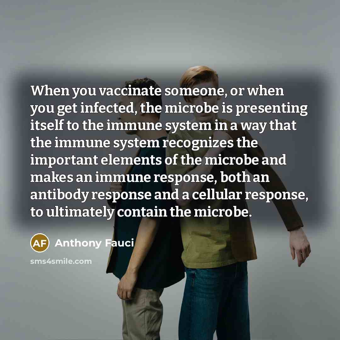 “When you vaccinate someone, or when you get infected, the microbe is presenting itself to the immune system in a way that the immune system recognizes the important elements of the microbe and makes an immune response, both an antibody response and a cellular response, to ultimately contain the…” quote by Anthony Fauci