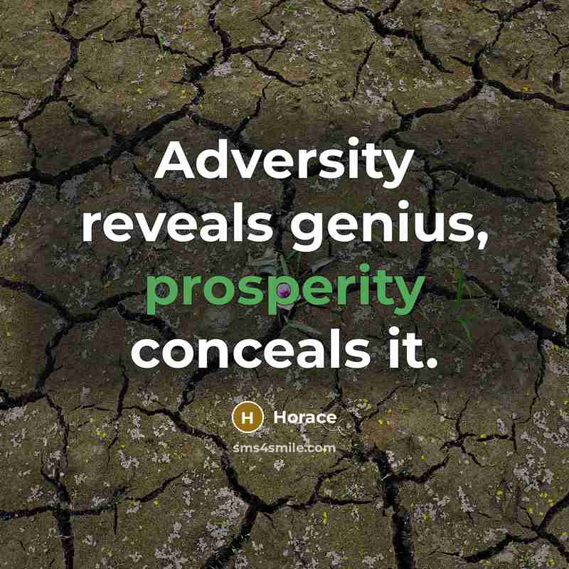 “Adversity reveals genius, prosperity conceals it.” quote by Horace
