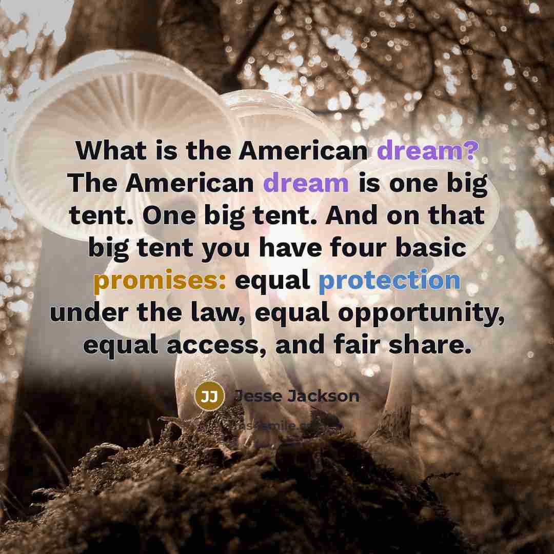 “What is the American dream? The American dream is one big tent. One big tent. And on that big tent you have four basic promises: equal protection under the law, equal opportunity, equal access, and fair share.” quote by Jesse Jackson