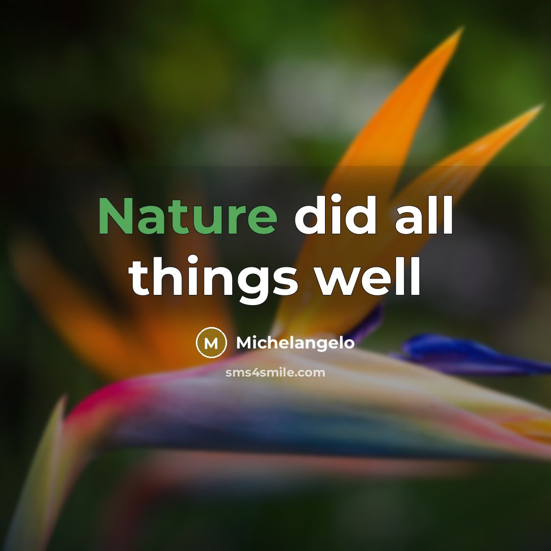 “Nature did all things well” quote by Michelangelo