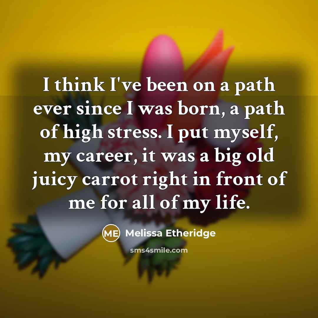 “I think I've been on a path ever since I was born, a path of high stress. I put myself, my career, it was a big old juicy carrot right in front of me for all of my life.” quote by Melissa Etheridge