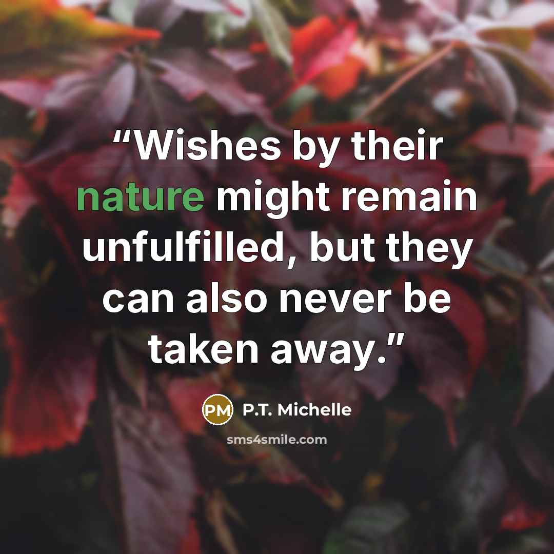 “Wishes by their nature might remain unfulfilled, but they can also never be taken away.” quote by P.T. Michelle