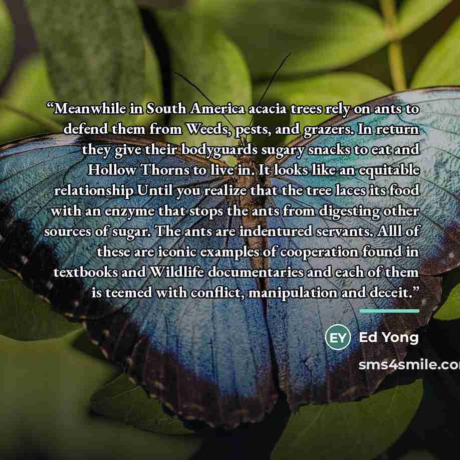 “Meanwhile in South America acacia trees rely on ants to defend them from Weeds, pests, and grazers. In return they give their bodyguards sugary snacks to eat and Hollow Thorns to live in. It looks like an equitable relationship Until you realize that the tree laces its food with an enzyme that…” quote by Ed Yong