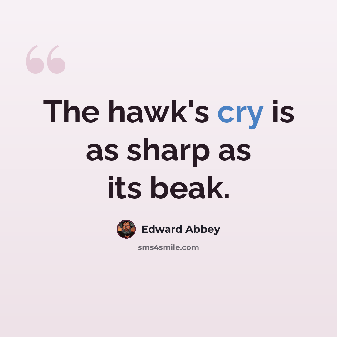 “The hawk's cry is as sharp as its beak.” quote by Edward Abbey