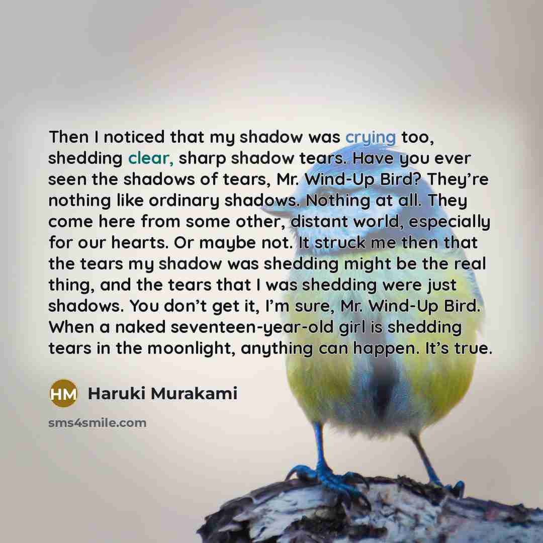“Then I noticed that my shadow was crying too, shedding clear, sharp shadow tears. Have you ever seen the shadows of tears, Mr. Wind-Up Bird? They’re nothing like ordinary shadows. Nothing at all. They come here from some other, distant world, especially for our hearts. Or maybe not. It struck me…” quote by Haruki Murakami