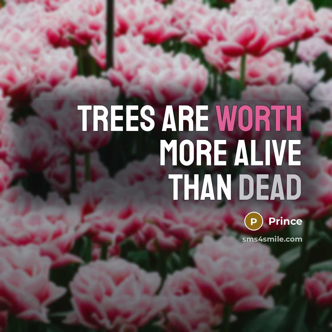 “Trees are worth more alive than dead” quote by Prince