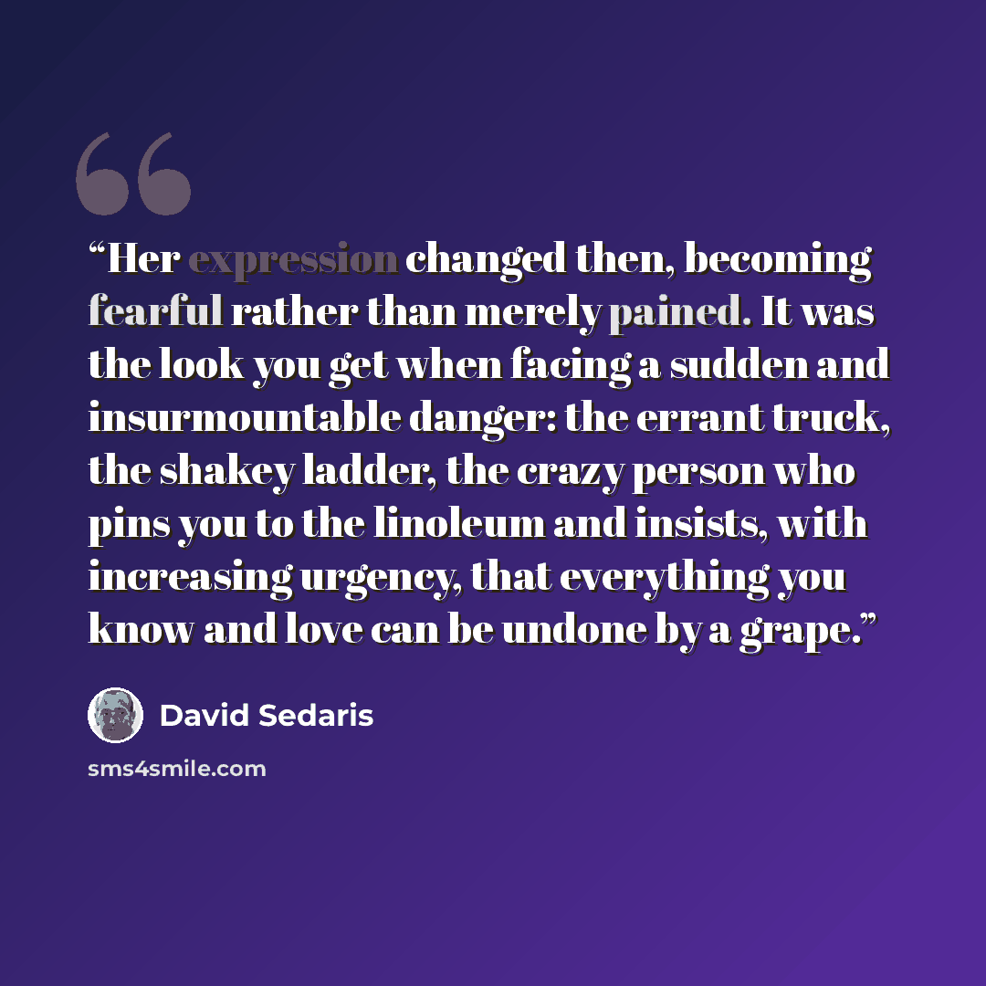 “Her expression changed then, becoming fearful rather than merely pained. It was the look you get when facing a sudden and insurmountable danger: the errant truck, the shakey ladder, the crazy person who pins you to the linoleum and insists, with increasing urgency, that everything you know and…” quote by David Sedaris