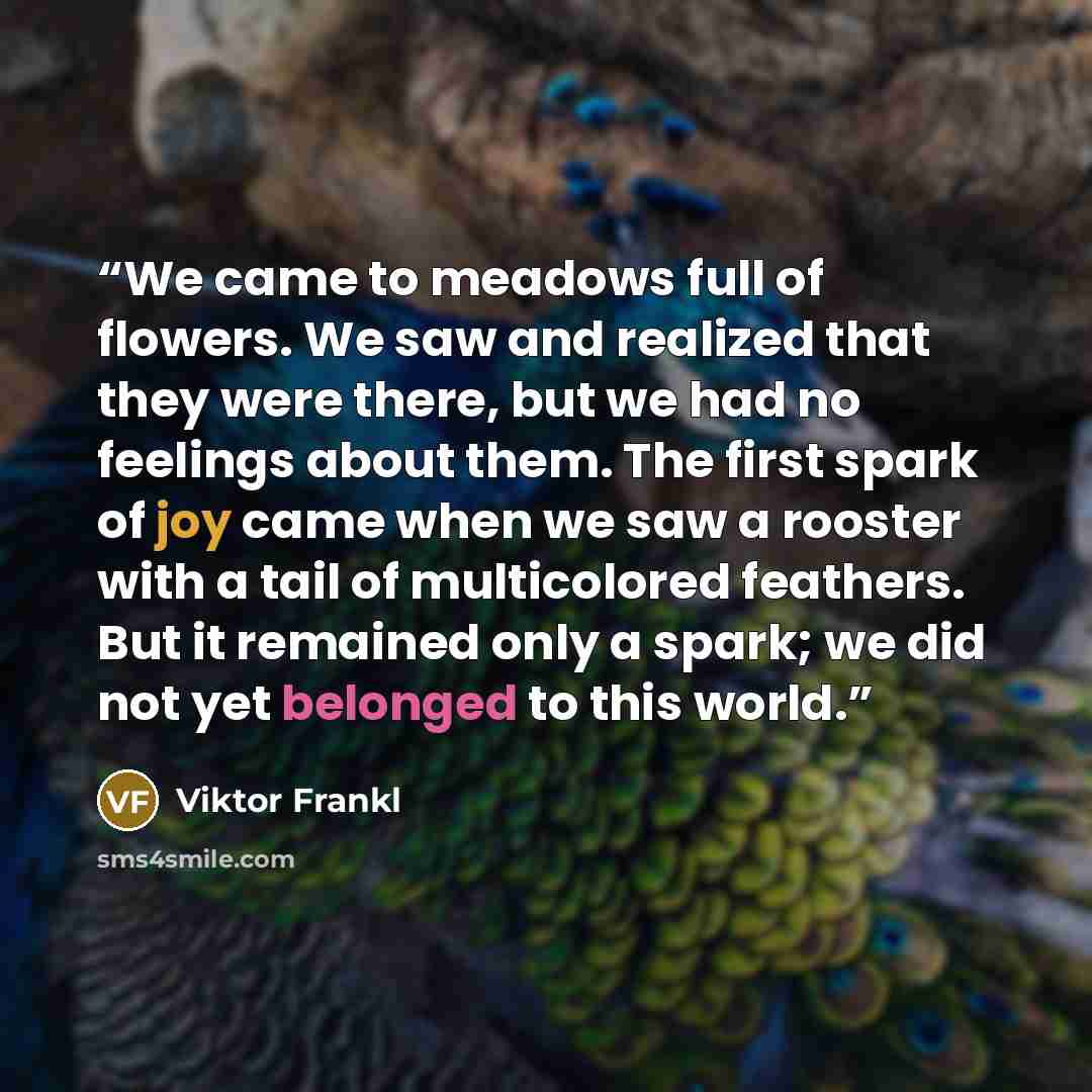 “We came to meadows full of flowers. We saw and realized that they were there, but we had no feelings about them. The first spark of joy came when we saw a rooster with a tail of multicolored feathers. But it remained only a spark; we did not yet belonged to this world.” quote by Viktor Frankl