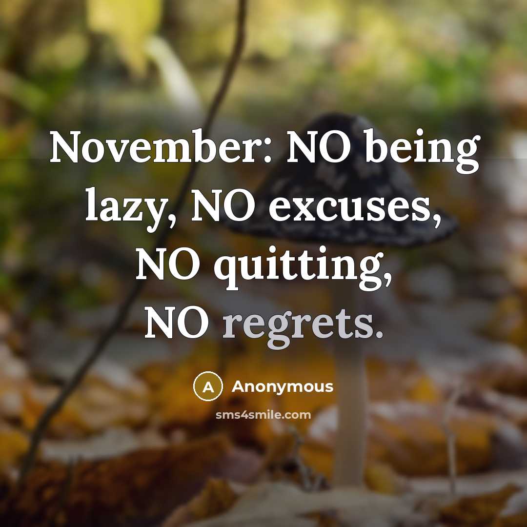 “November: NO being lazy, NO excuses, NO quitting, NO regrets.” quote by Anonymous