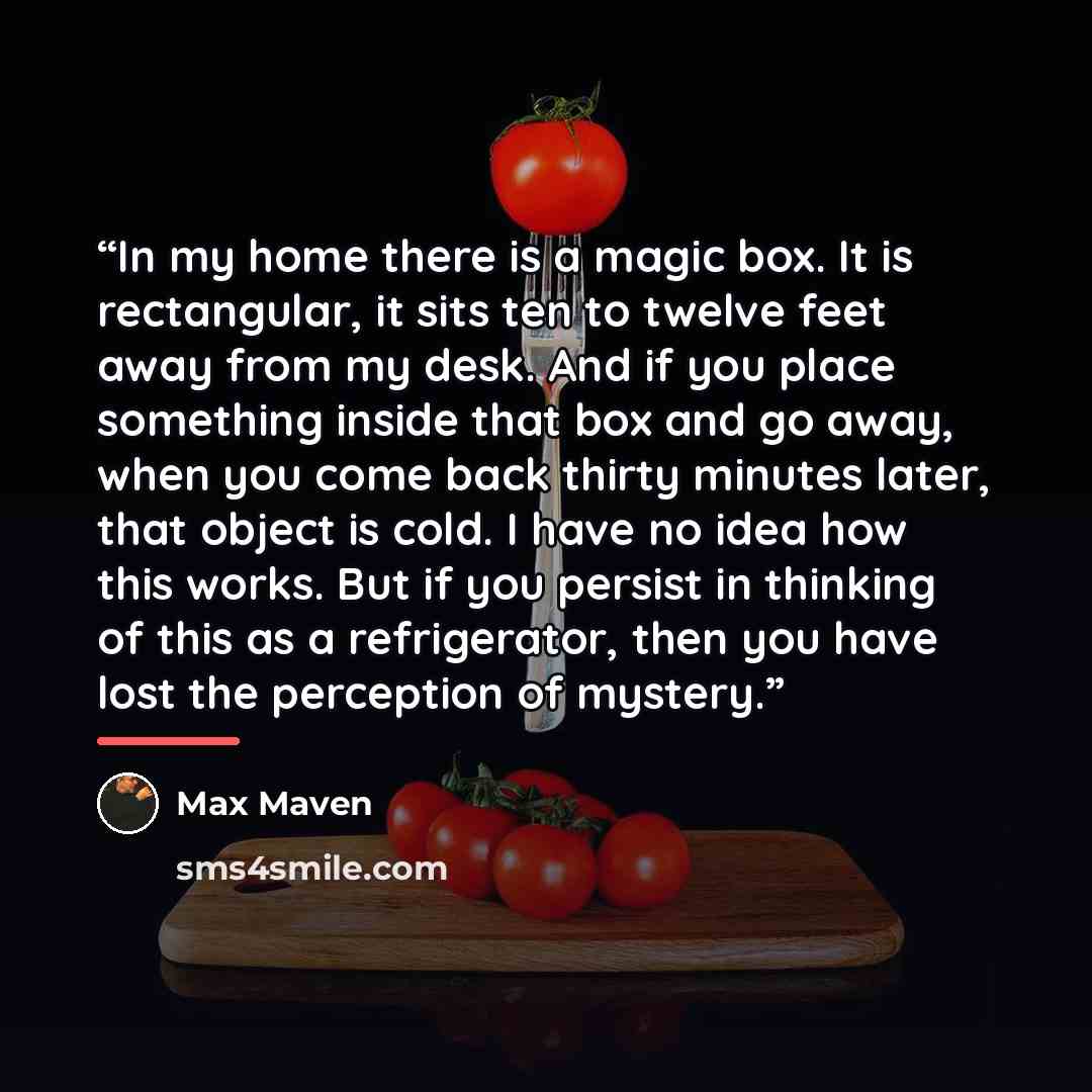 “In my home there is a magic box. It is rectangular, it sits ten to twelve feet away from my desk. And if you place something inside that box and go away, when you come back thirty minutes later, that object is cold. I have no idea how this works. But if you persist in thinking of this as a…” quote by Max Maven