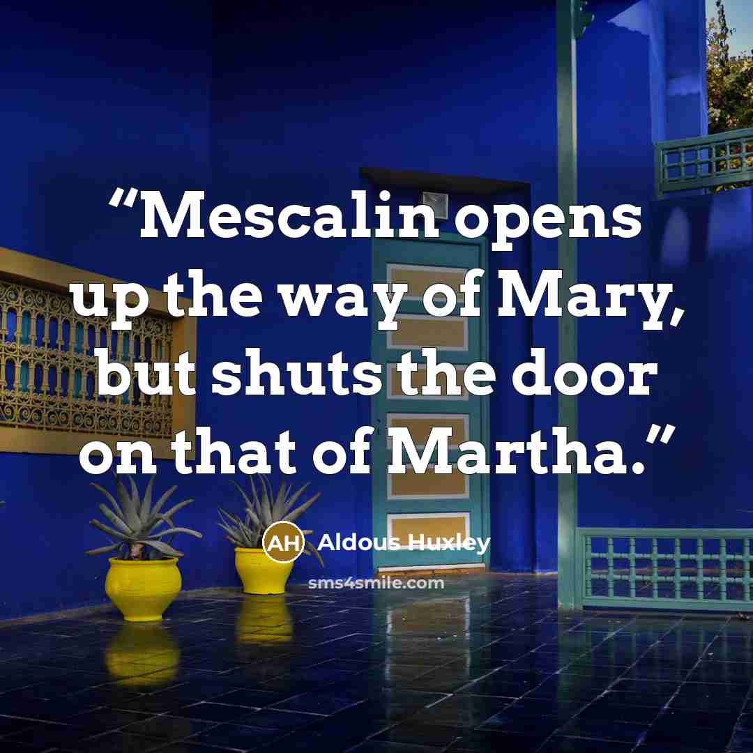 “Mescalin opens up the way of Mary, but shuts the door on that of Martha.” quote by Aldous Huxley