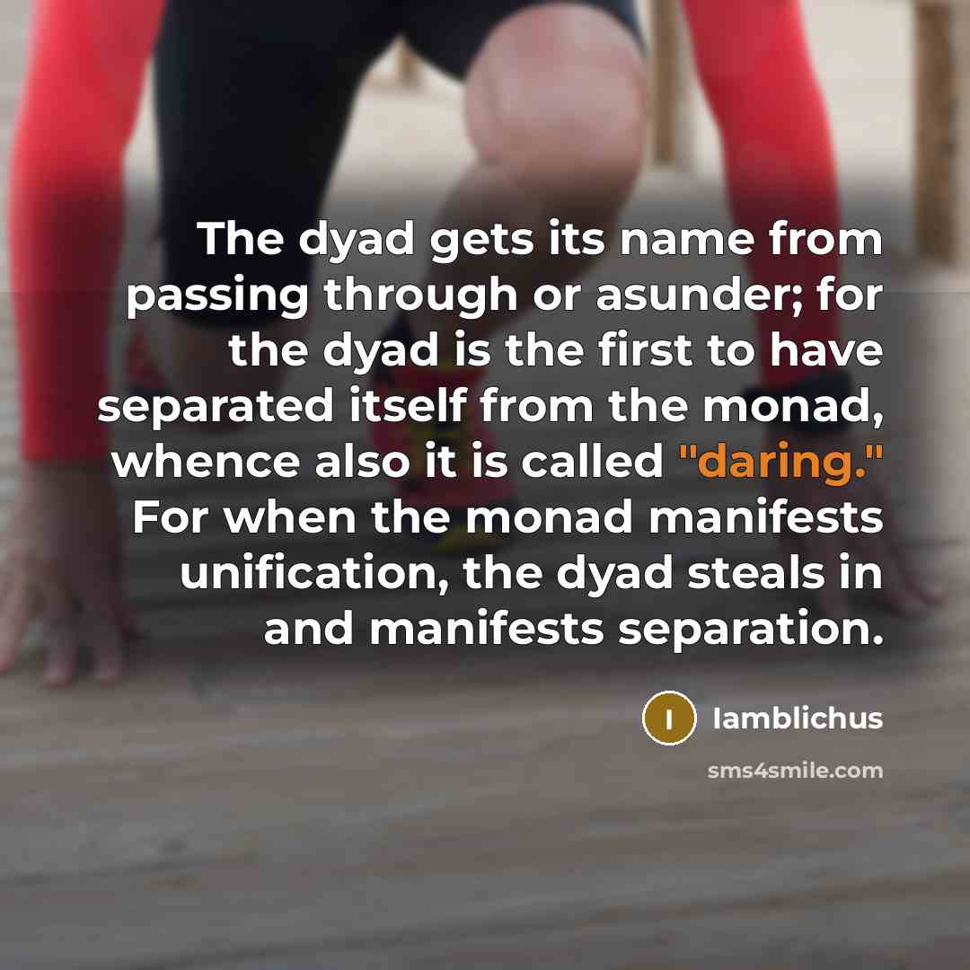“The dyad gets its name from passing through or asunder; for the dyad is the first to have separated itself from the monad, whence also it is called "daring." For when the monad manifests unification, the dyad steals in and manifests separation.” quote by Iamblichus