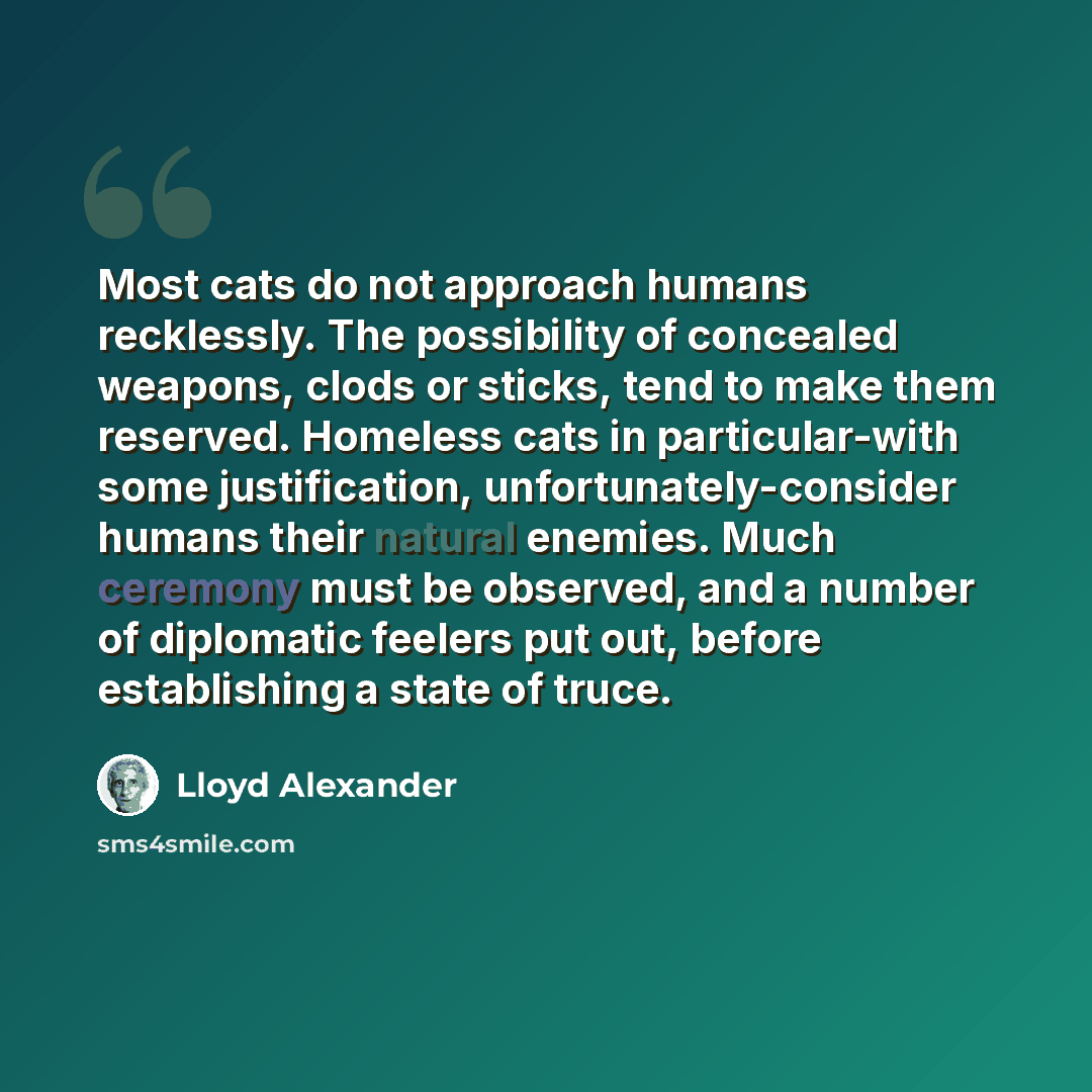 “Most cats do not approach humans recklessly. The possibility of concealed weapons, clods or sticks, tend to make them reserved. Homeless cats in particular-with some justification, unfortunately-consider humans their natural enemies. Much ceremony must be observed, and a number of diplomatic…” quote by Lloyd Alexander