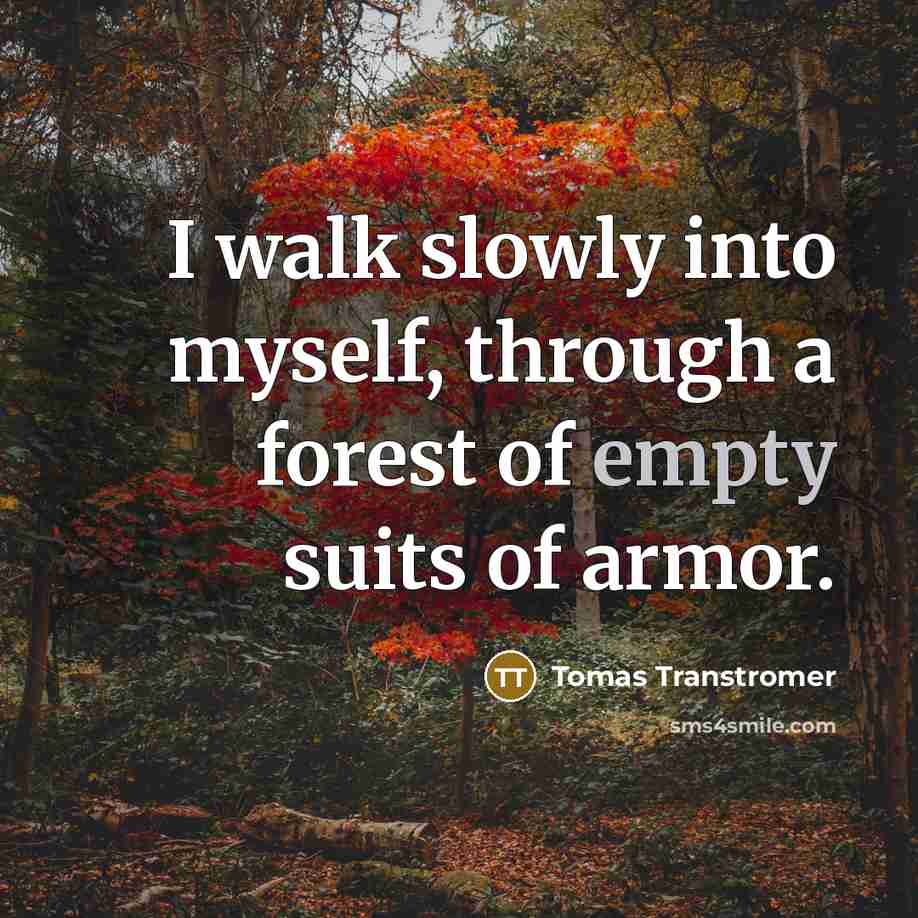 “I walk slowly into myself, through a forest of empty suits of armor.” quote by Tomas Transtromer