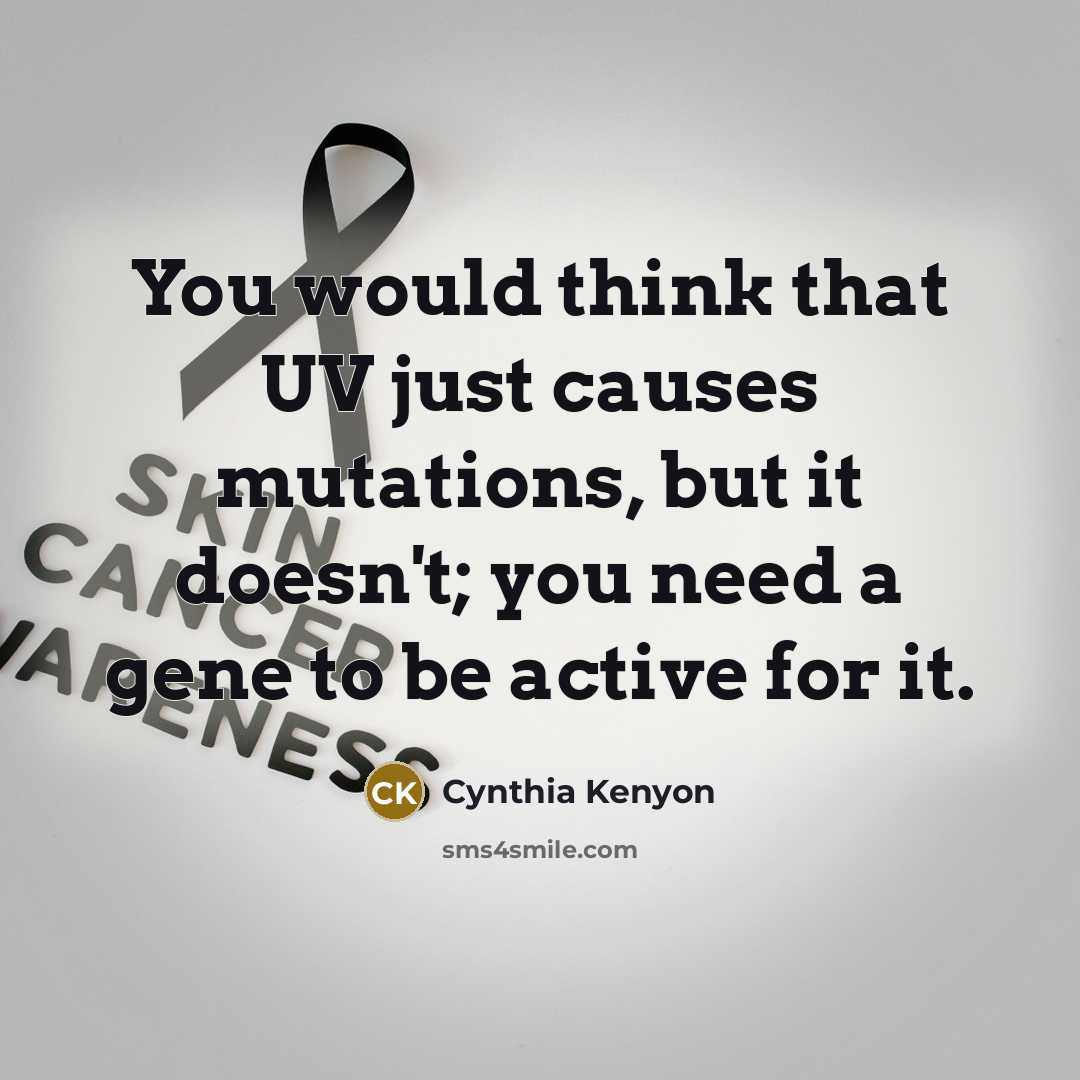 “You would think that UV just causes mutations, but it doesn't; you need a gene to be active for it.” quote by Cynthia Kenyon