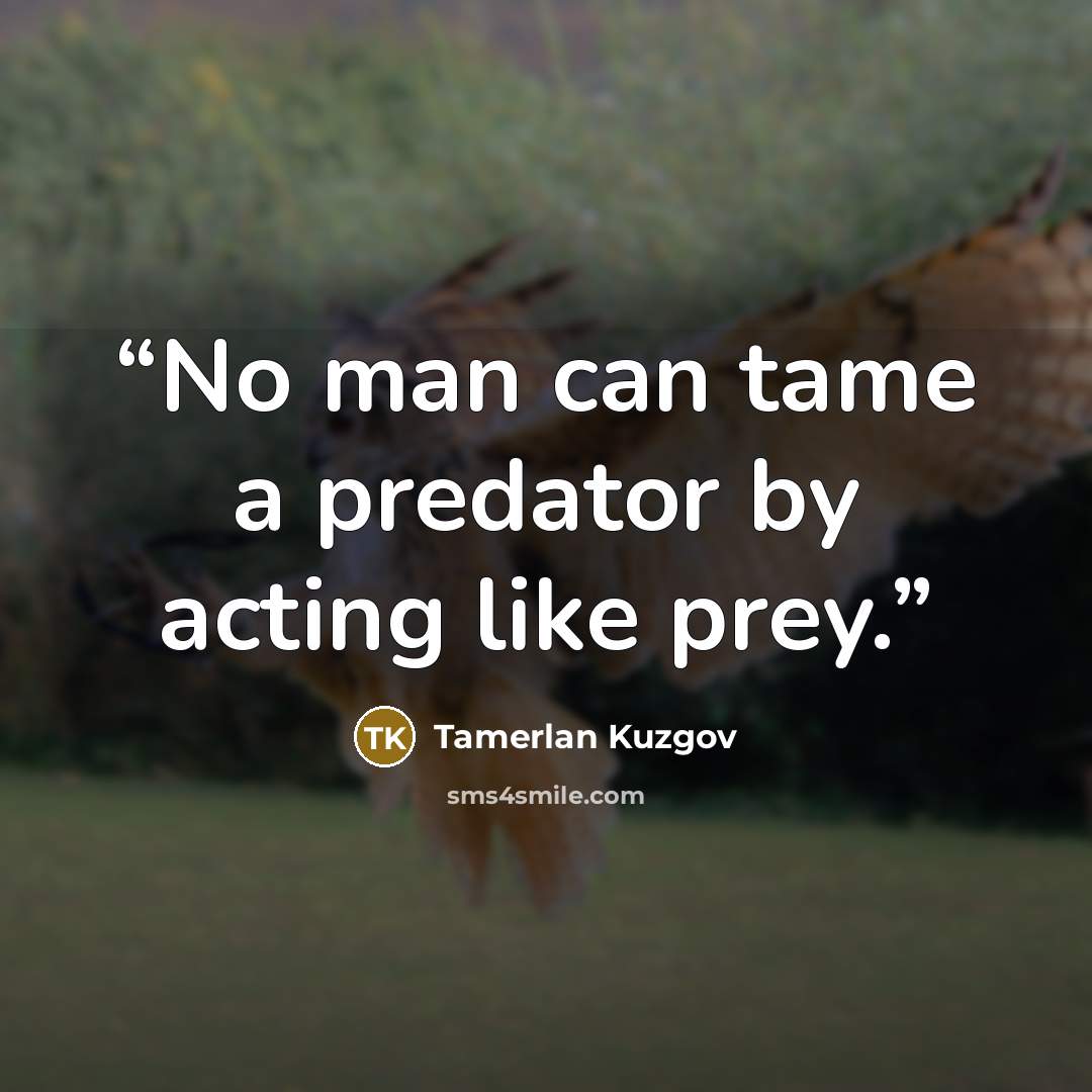 “No man can tame a predator by acting like prey.” quote by Tamerlan Kuzgov