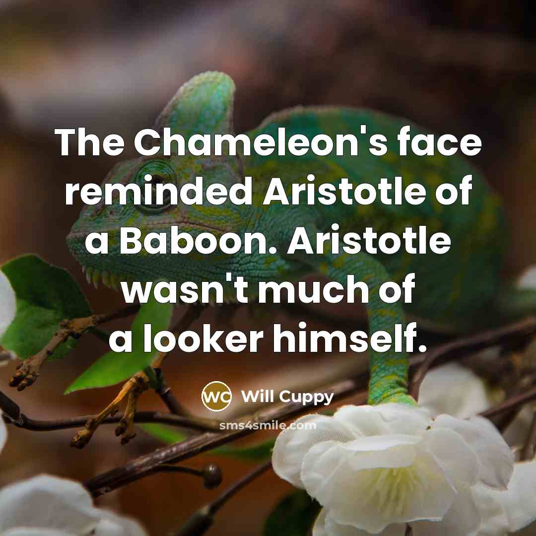 “The Chameleon's face reminded Aristotle of a Baboon. Aristotle wasn't much of a looker himself.” quote by Will Cuppy