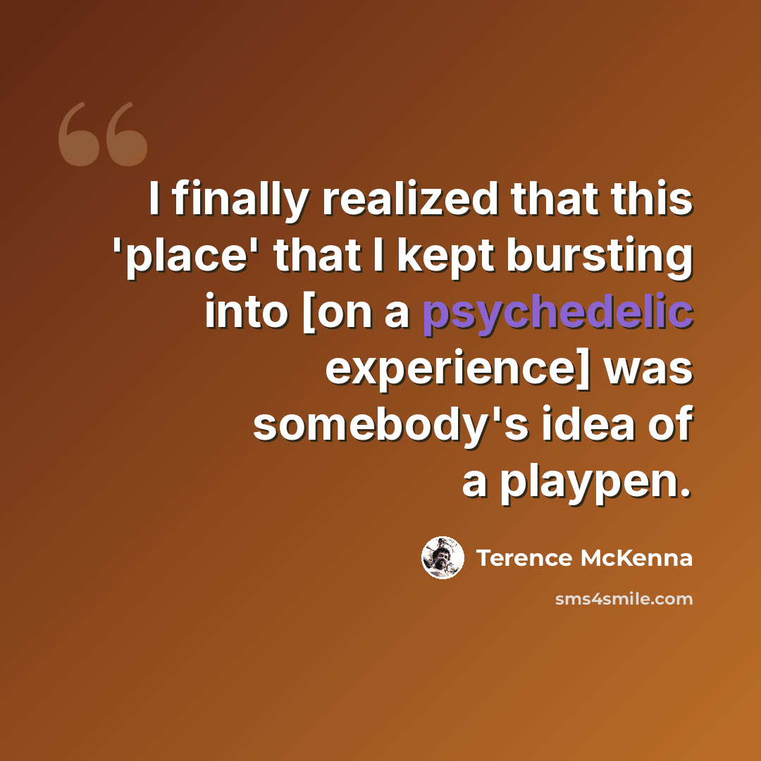 “I finally realized that this 'place' that I kept bursting into [on a psychedelic experience] was somebody's idea of a playpen.” quote by Terence McKenna