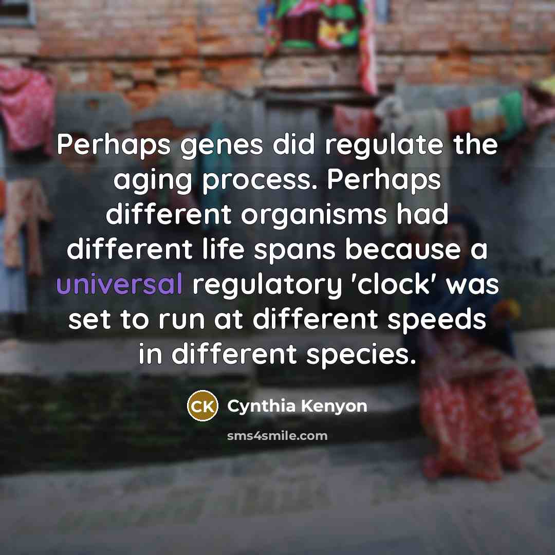 “Perhaps genes did regulate the aging process. Perhaps different organisms had different life spans because a universal regulatory 'clock' was set to run at different speeds in different species.” quote by Cynthia Kenyon