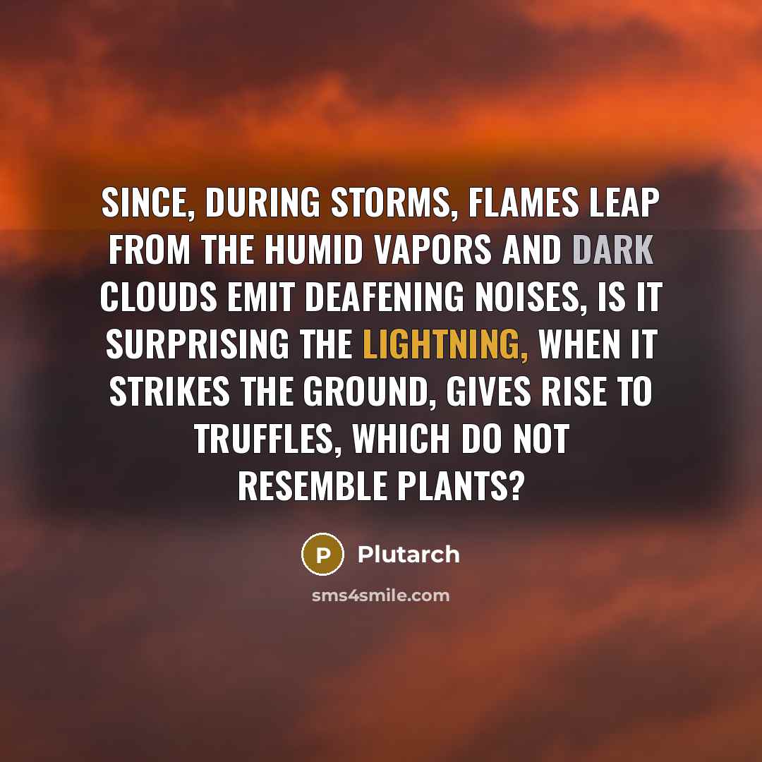 “Since, during storms, flames leap from the humid vapors and dark clouds emit deafening noises, is it surprising the lightning, when it strikes the ground, gives rise to truffles, which do not resemble plants?” quote by Plutarch