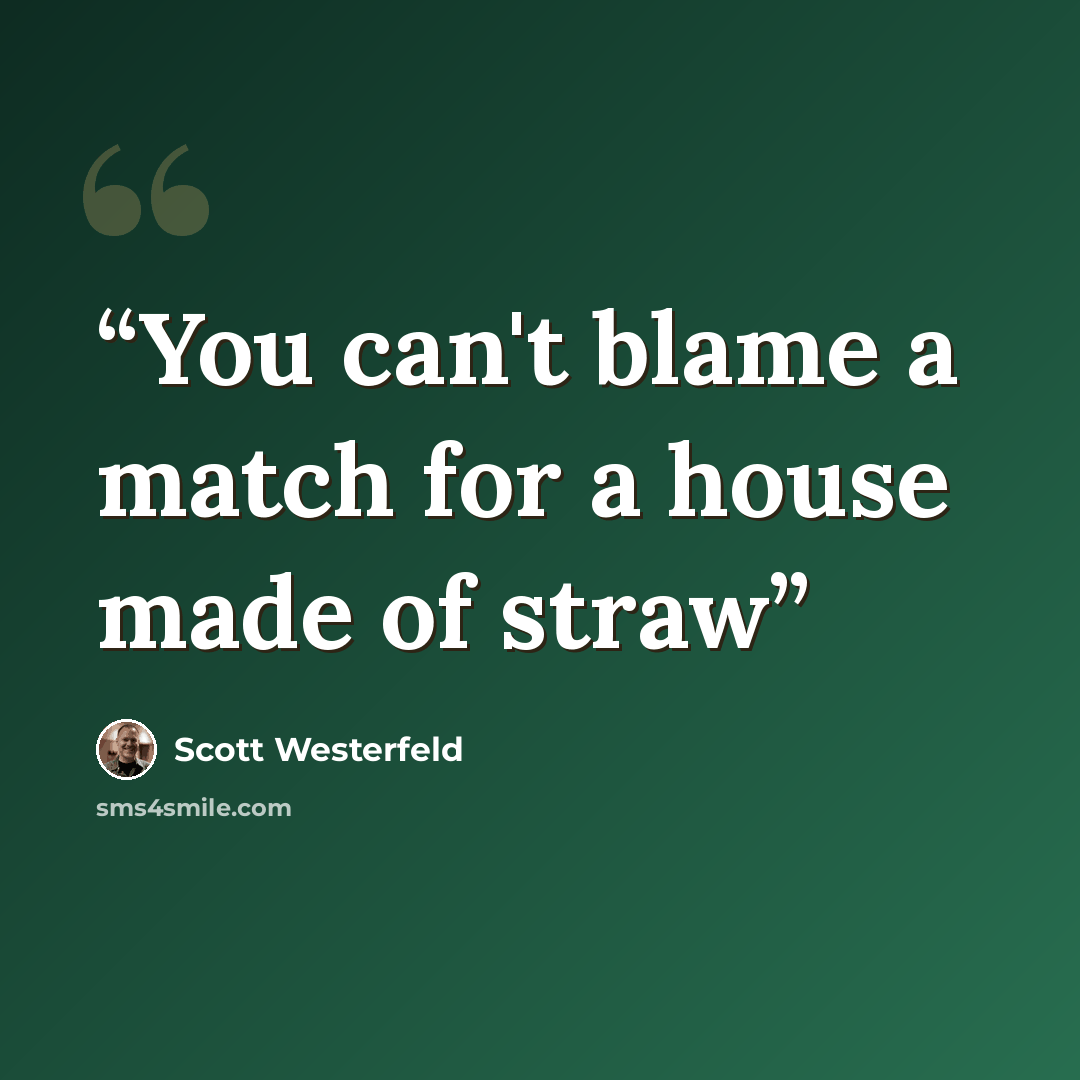 “You can't blame a match for a house made of straw” quote by Scott Westerfeld